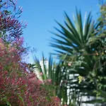 Flat With A Garden In Belem *