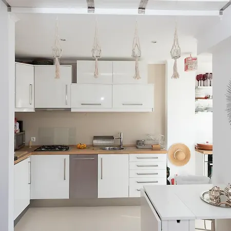 Lejlighed Flat With A Garden In Belem *