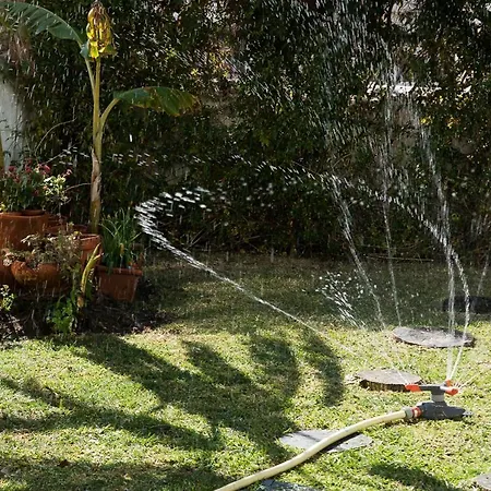 Flat With A Garden In Belem Appartement