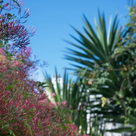 Flat With A Garden In Belem *