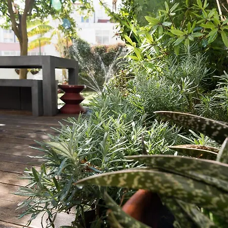 Flat With A Garden In Belem דירה ליסבון